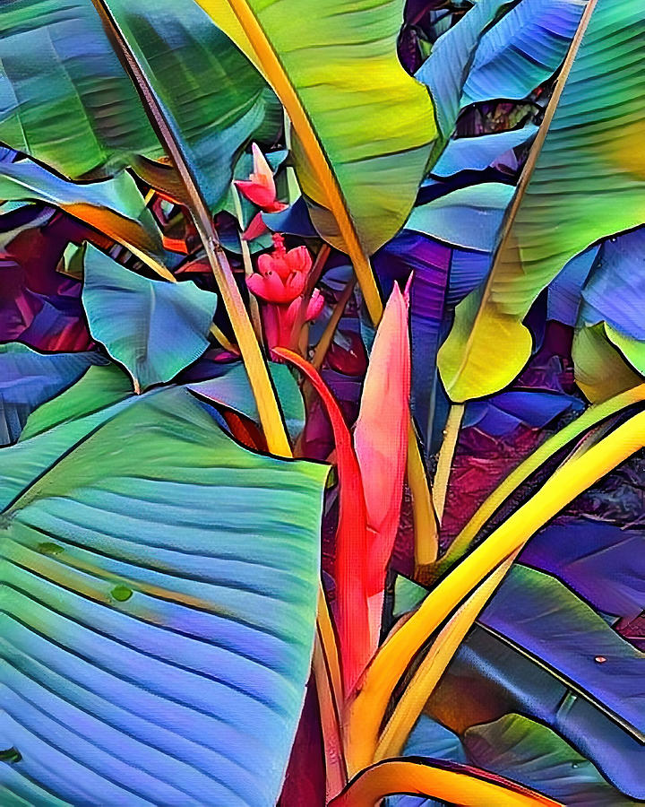 Pink bananas Digital Art by Rachel Lee Young