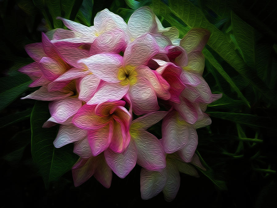 Pink Beauty Painting Photograph by Jackie Littletaylor - Fine Art America