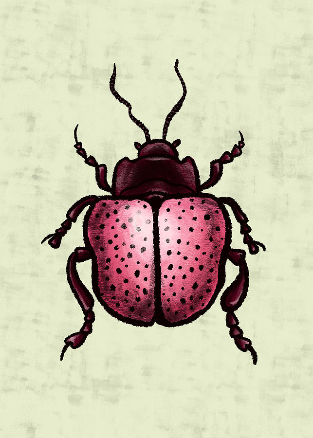 Wildlife Digital Art - Pink Beetle With Dots Insect Art by Boriana Giormova