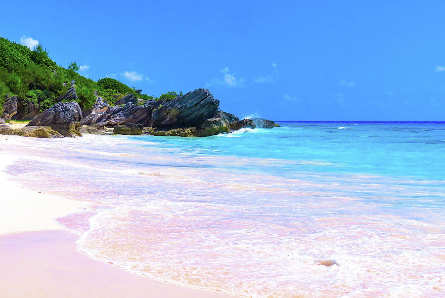 Pink Bermuda Beach Photograph by Lori Steward - Pixels