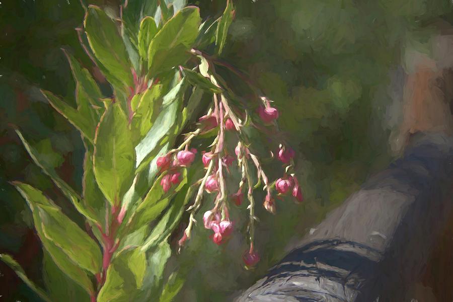 Pink Berries on a Branch Mixed Media by Alison Frank