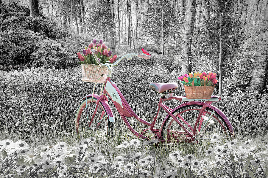 Pink Bicycle in Flowers Black and White  Photograph by Debra and Dave Vanderlaan