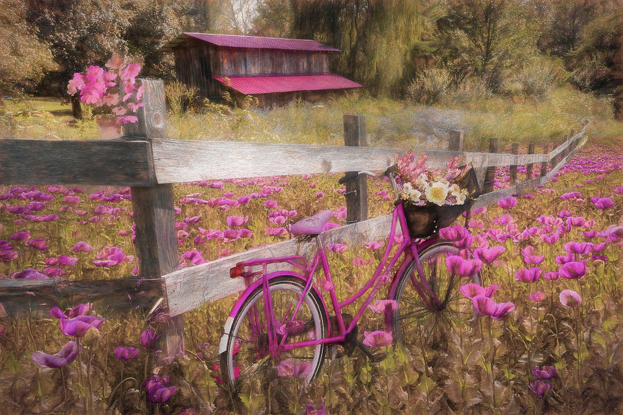 Pink Bicycle in the Poppies Painting Photograph by Debra and Dave Vanderlaan