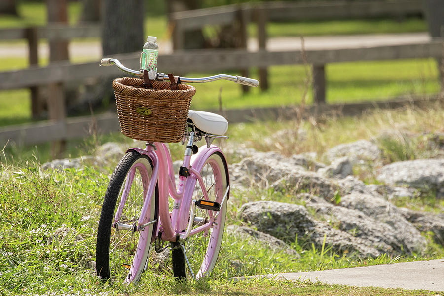 Pink Bike Photograph by Dorothy Cunningham