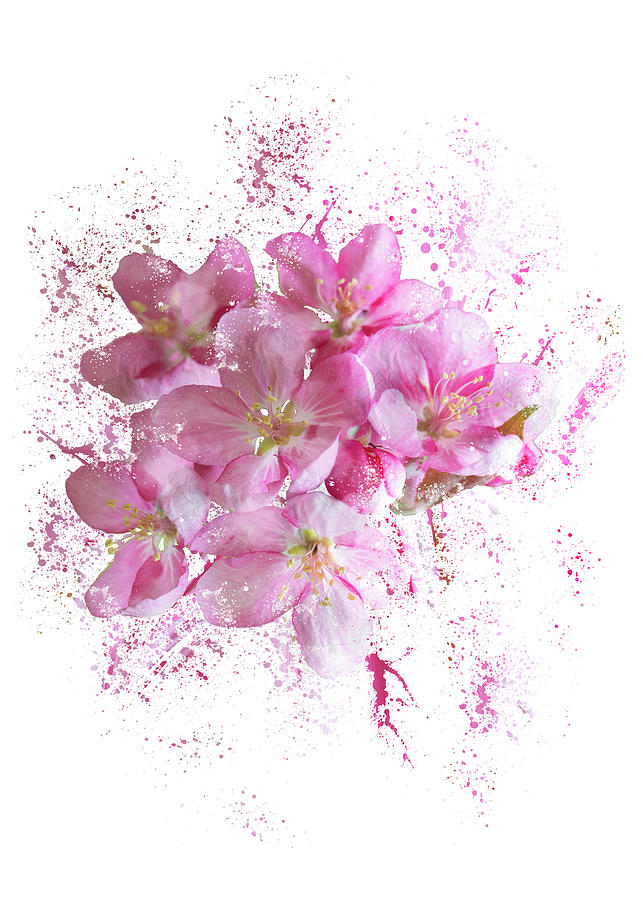 Pink Blossoms Mixed Media by Moira Law