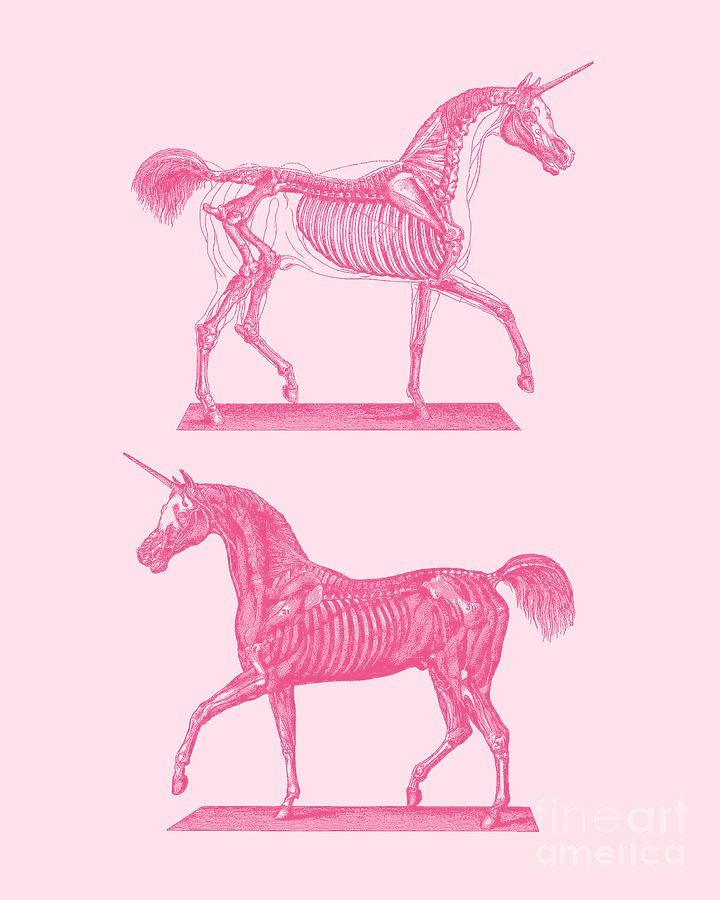 Unicorn Digital Art - Pink Blush Unicorn Decorations by Madame Memento
