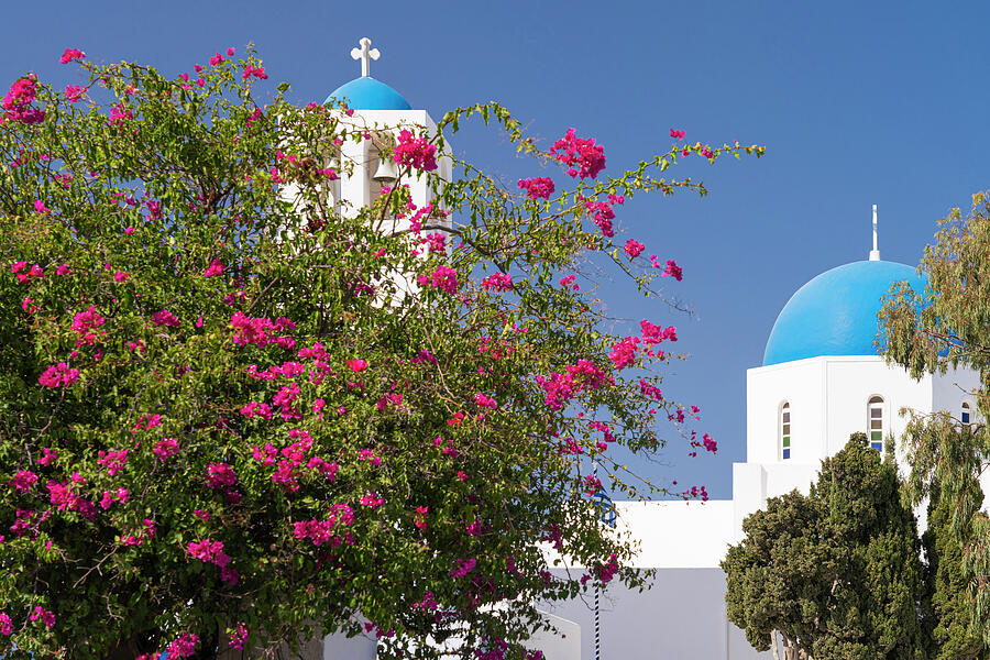 Greek Photograph - Pink Bougainvillea Flowers Church of Agios Saint Gerasimos Fira Santorini Greece by Wayne Moran
