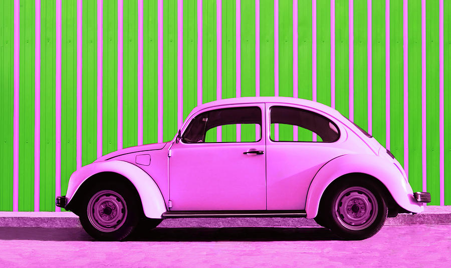 Vintage Photograph - Pink Bug by Laura Fasulo