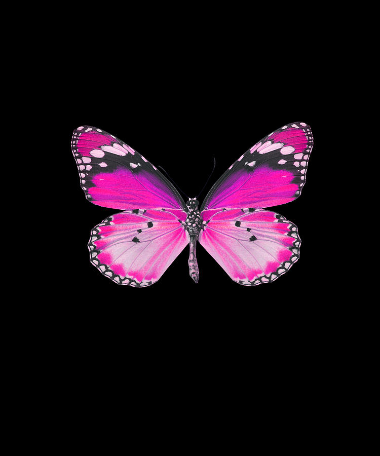 Pink Butterfly Digital Art by Caterina Christakos