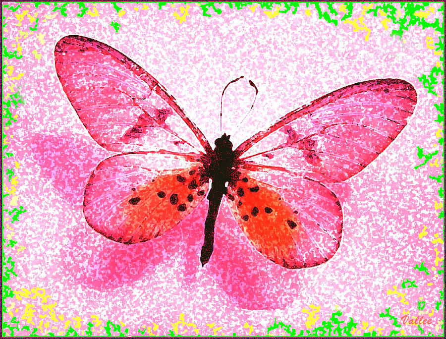 Pink Butterfly Digital Art by Vallee Johnson