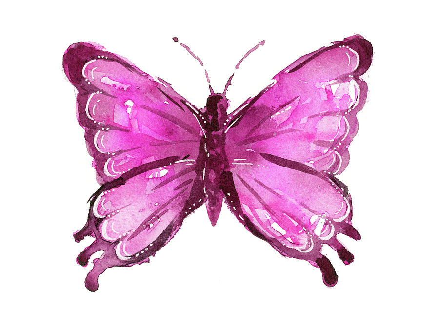 Watercolour Butterfly Pink Portrait Animal Canvas Wall Art Picture Prints 