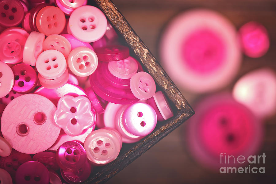 Pink buttons in a box Photograph by Jane Rix