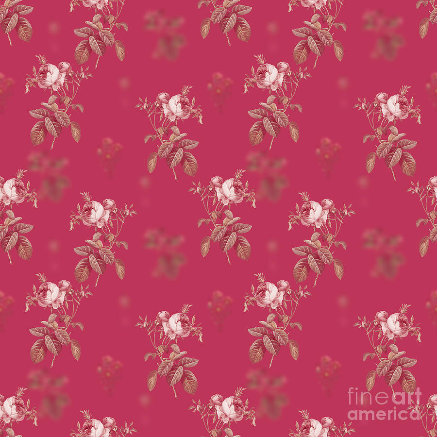 Pink Cabbage Rose De Mai Botanical Seamless Pattern In Viva Magenta N.1038 Mixed Media