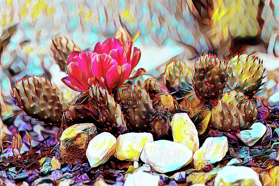 Pink Cactus flower Painting by Patricia Piotrak