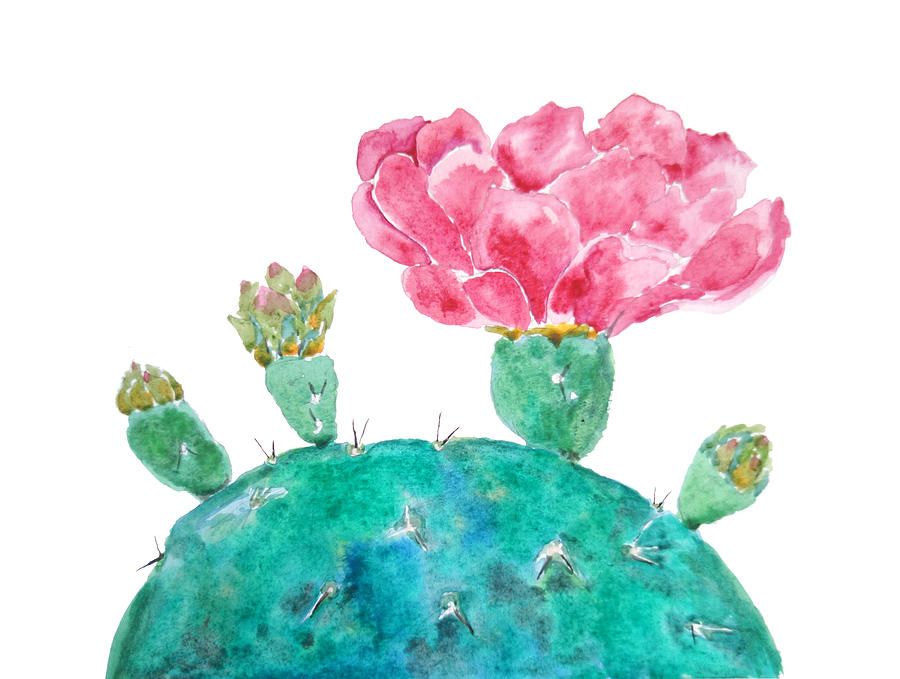 cactus flower painting