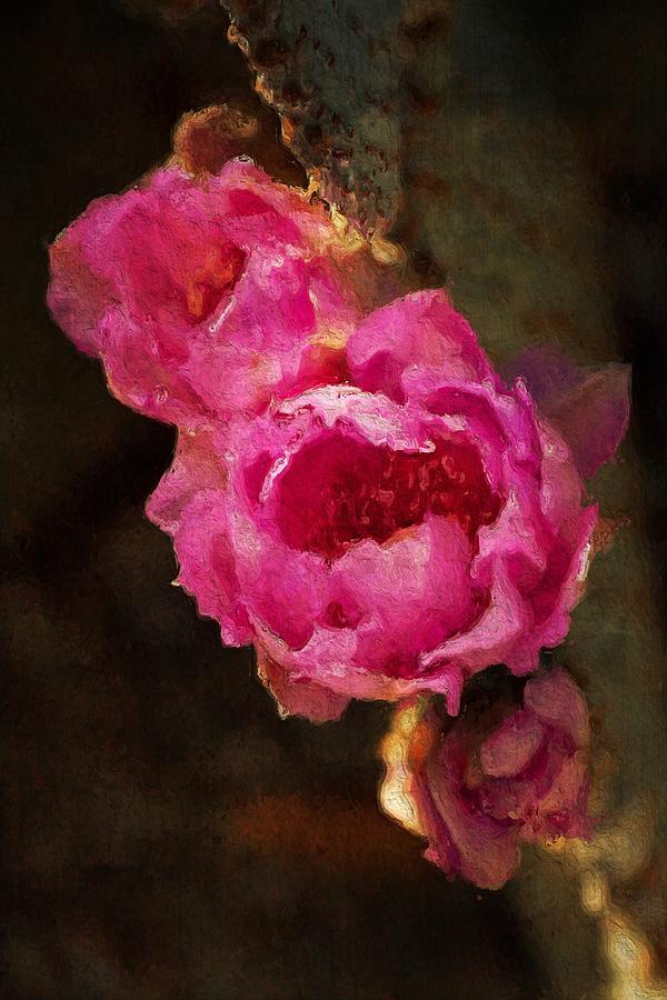 Pink Cactus Flowers - Digital Art Photograph by Tatiana Travelways