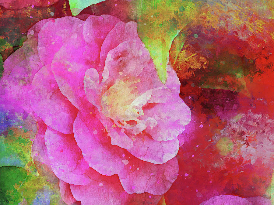 Pink Camellia Flower Mixed Media by Peggy Collins