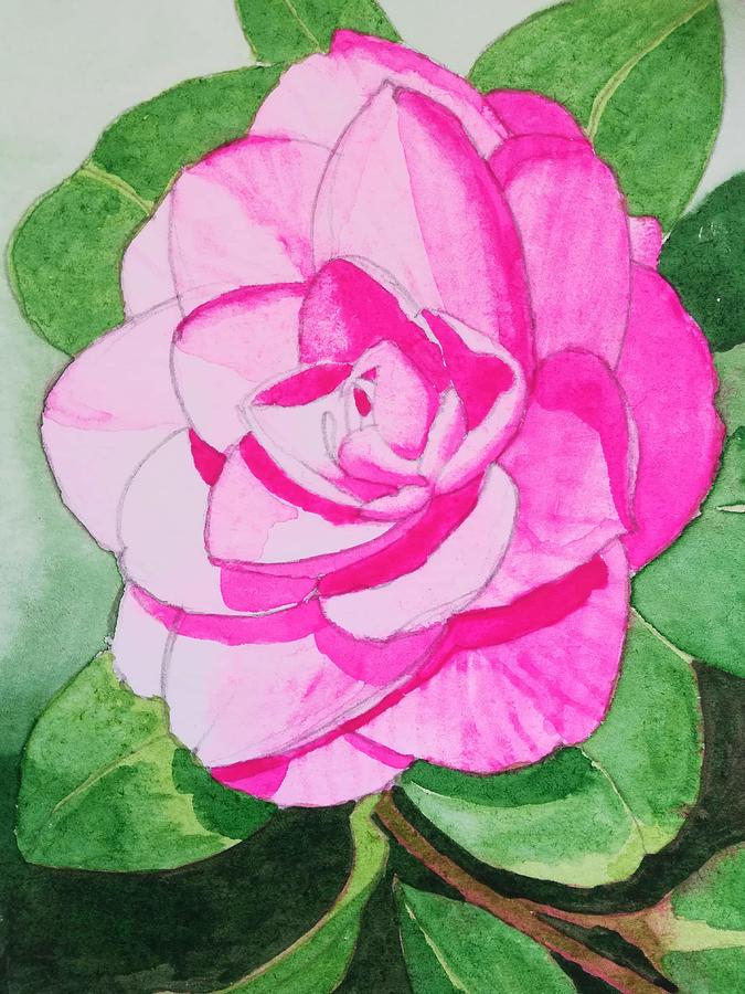 Camellia Painting - Pink Camellia watercolour by Esmee Van Breugel