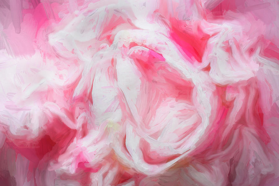 Pink Camellias Japonica Abstract X104 Photograph by Rich Franco