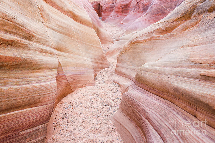 Valley Of Fire Pink Canyon Trail 50 Photograph By Maria Struss ...