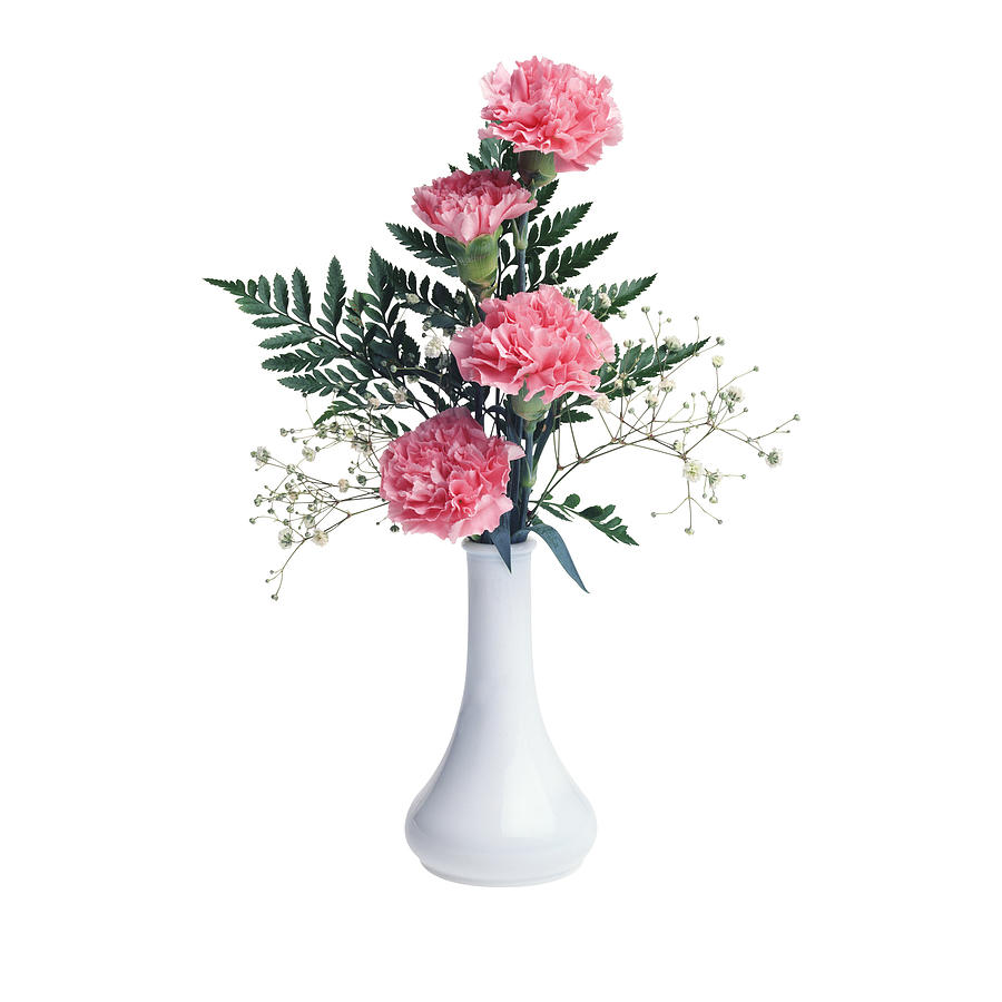 Pink Carnations in White Vase Photograph by C Squared Studios