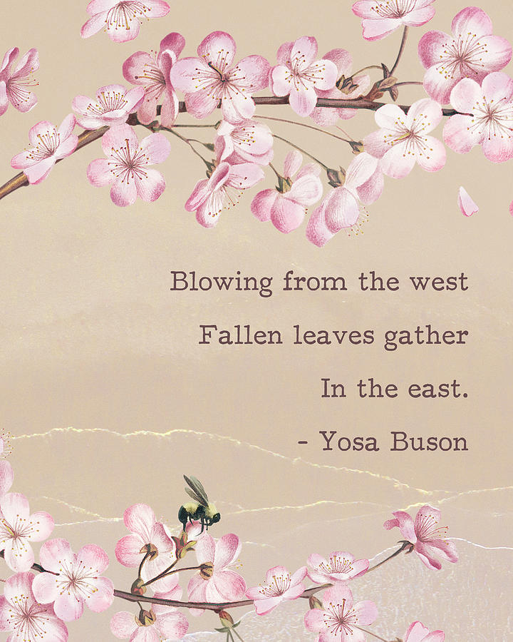 Pink cherry blossom with Yosa Buson Haiku Poem Digital Art by Georgia Clare