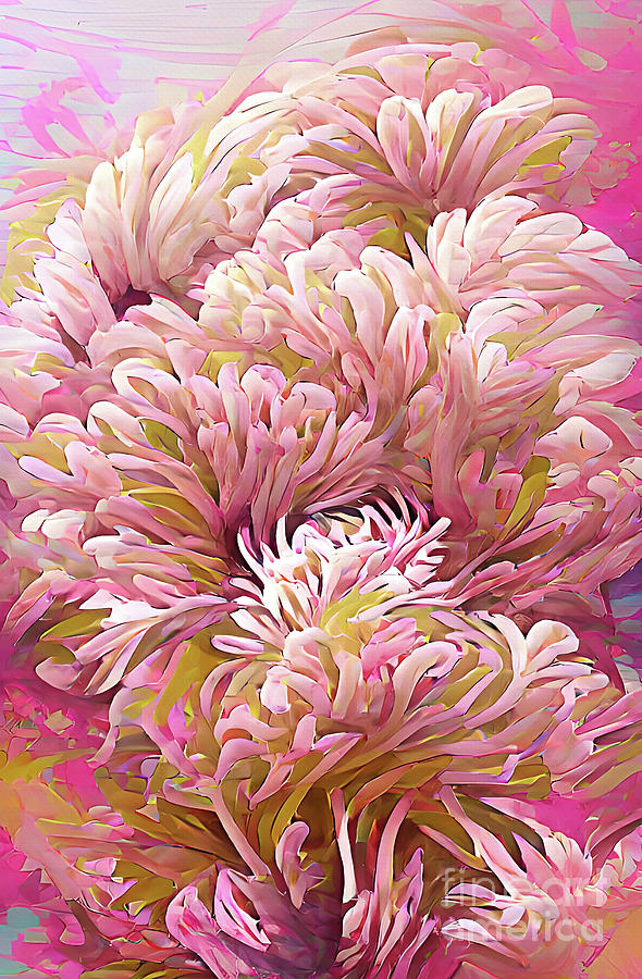 Pink Chrysanthemum Digital Art by Elaine Manley
