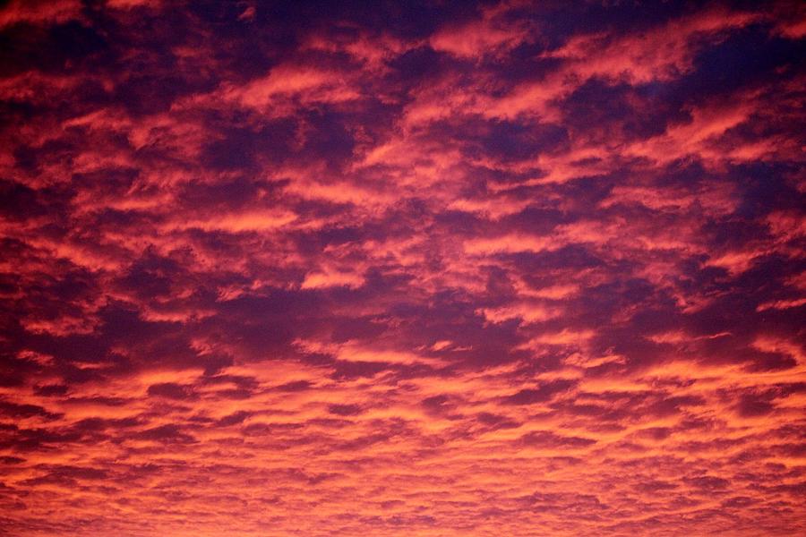 Pink Clouds At Sunrise Photograph By Cynthia Guinn