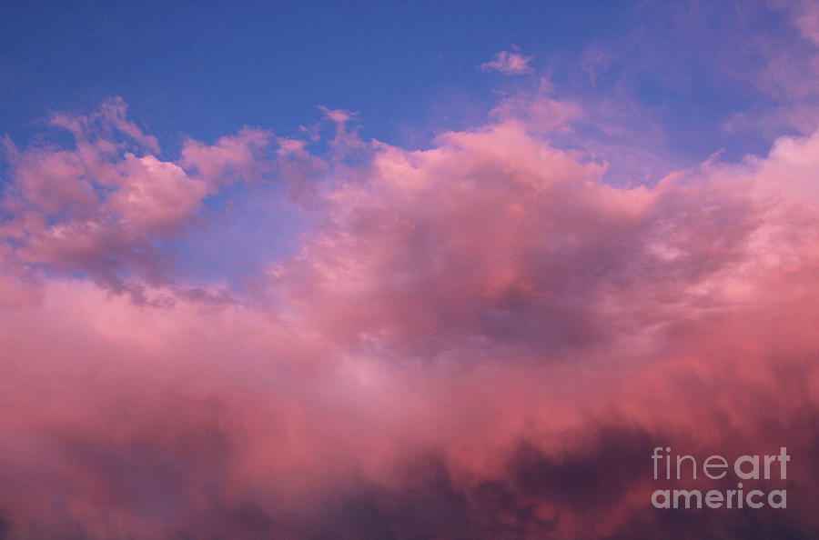 Pink Clouds Photograph By Suzanne Luft