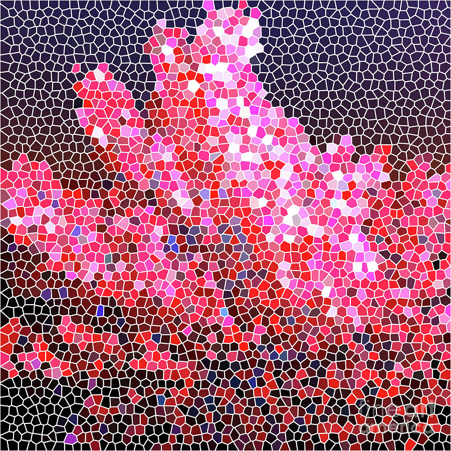Coral Digital Art - Pink coral artwork by Gaspar Avila