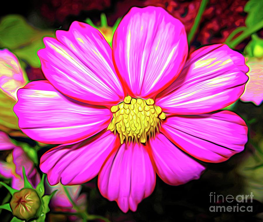 Pink Cosmos Flower Macro Abstract Expressionism Effect Photograph by Rose Santuci-Sofranko