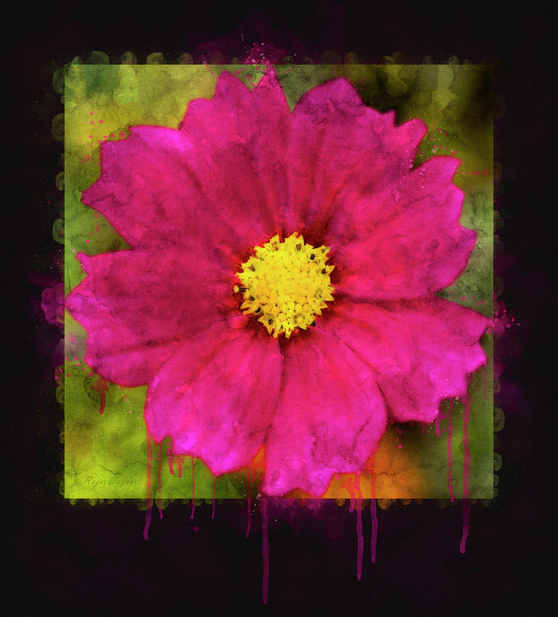 Pink Cosmos Painting by Roger Snyder