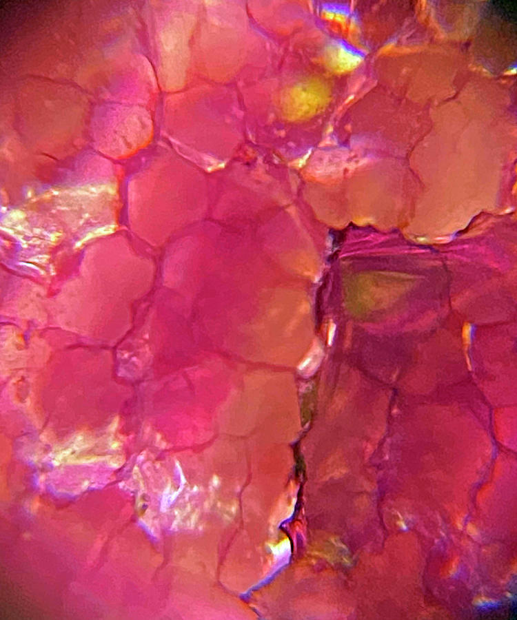 Pink Cracked Glass 3 Photograph by Marilyn Borne