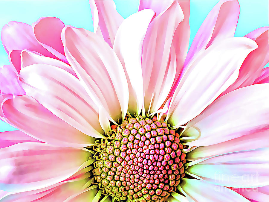Pink Dahlia Painting by Denise Dundon Pink Dahlia Painting by Denise Dundon