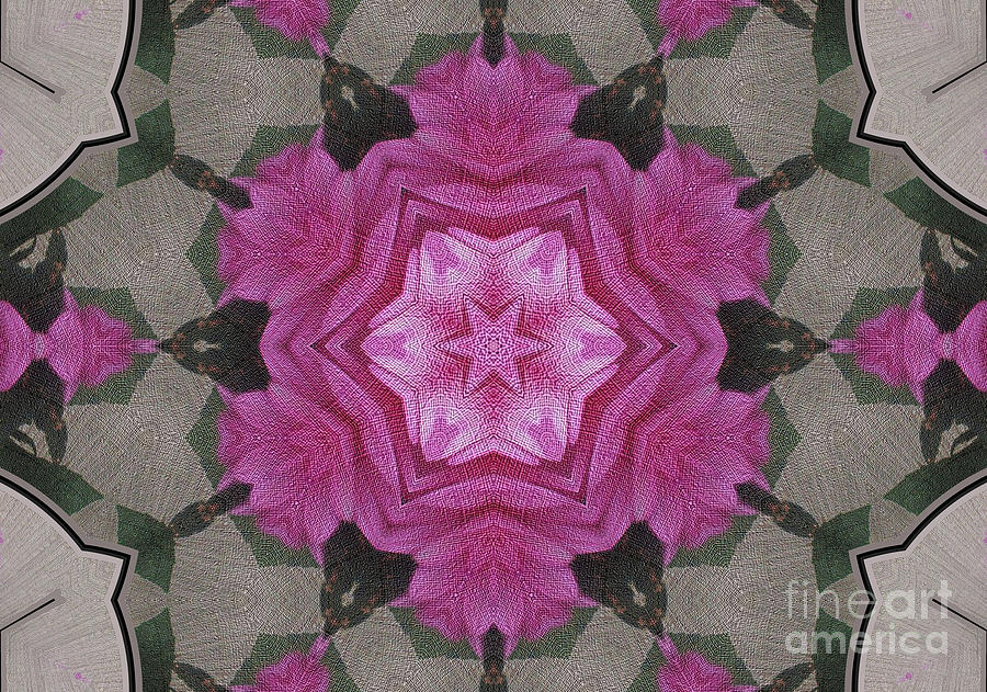 Pink Dahlia Kaleidoscope Digital Art by Charles Robinson