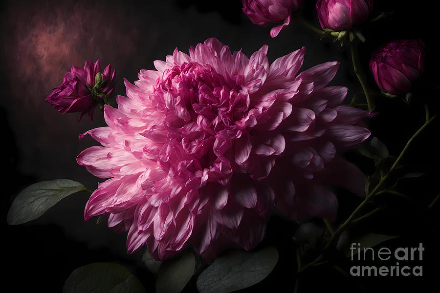 Pink Dahlia With Dramatic Lighting Digital Art by Michelle Meenawong