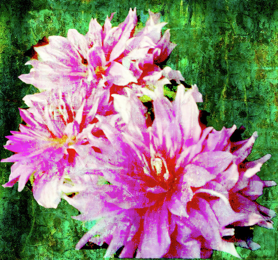 Pink Dahlias 919 Tapestry - Textile by Cathy Anderson
