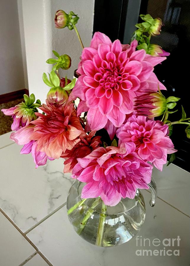 Pink Dahlias in Glass Vase Photograph by Carol Groenen