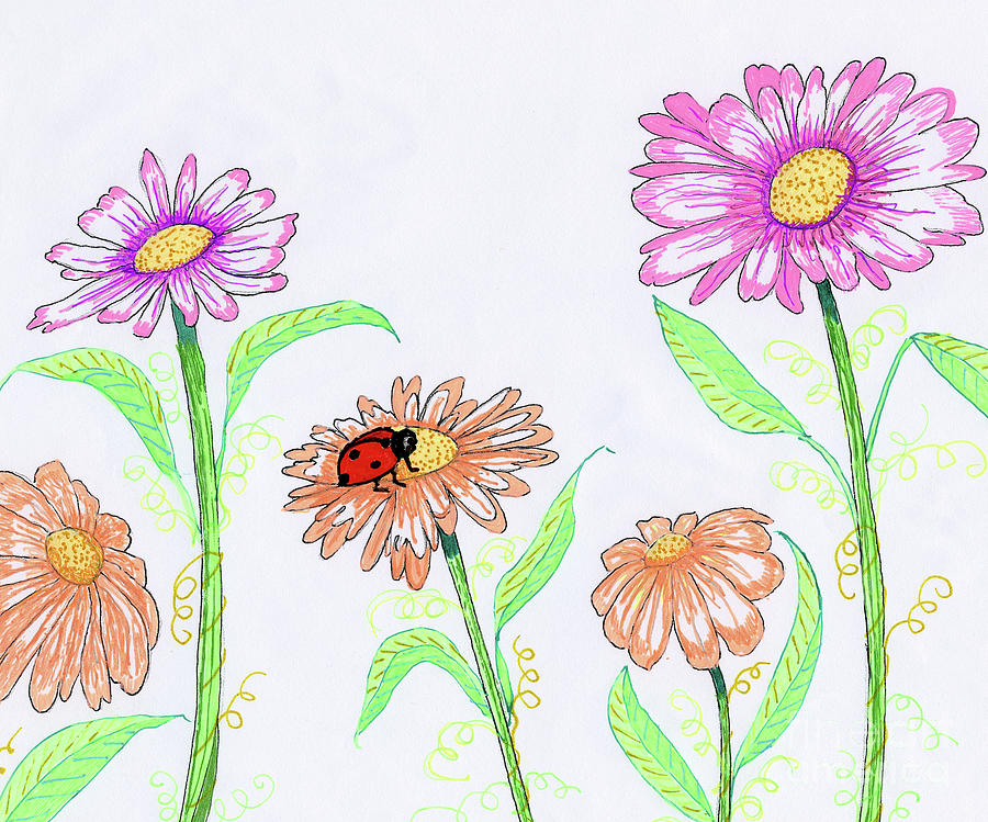 Pink Daisies Painting by Norma Appleton
