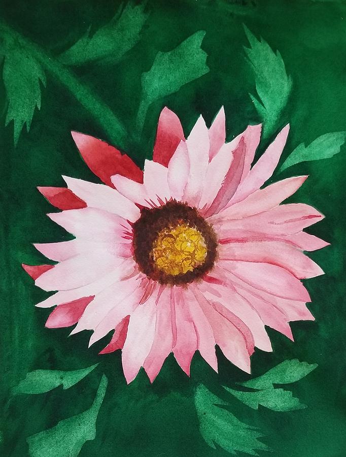 Pink Daisy Painting by Elise Boam