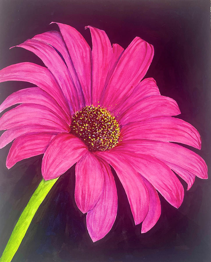 Pink Daisy Painting by Marcia Williams - Fine Art America