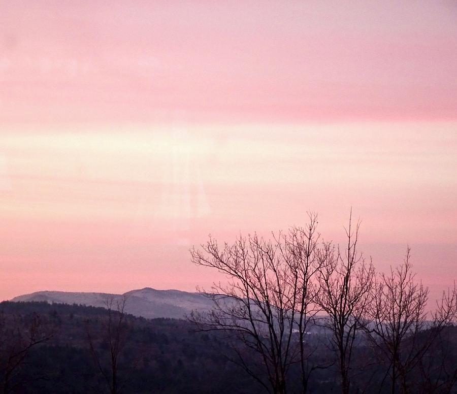 Pink Dawn Photograph by Catherine Arcolio