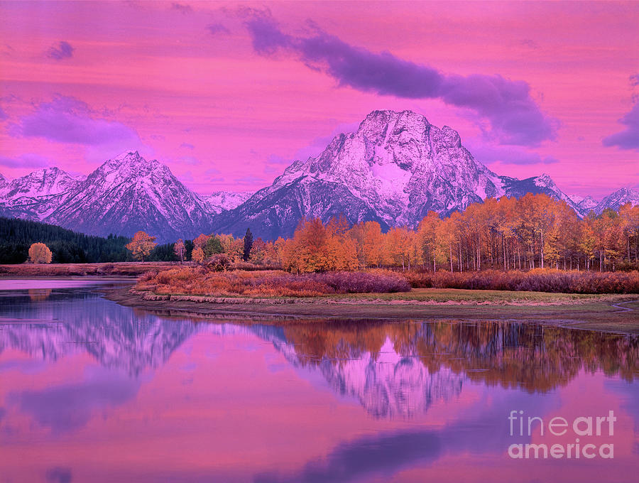Pink Dawn Oxbow Bend In Fall Grand Tetons National Park Photograph by Dave Welling
