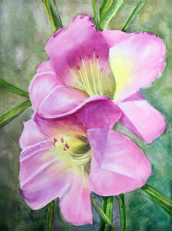 Pink Daylily Flowers Painting by Art by Carol May