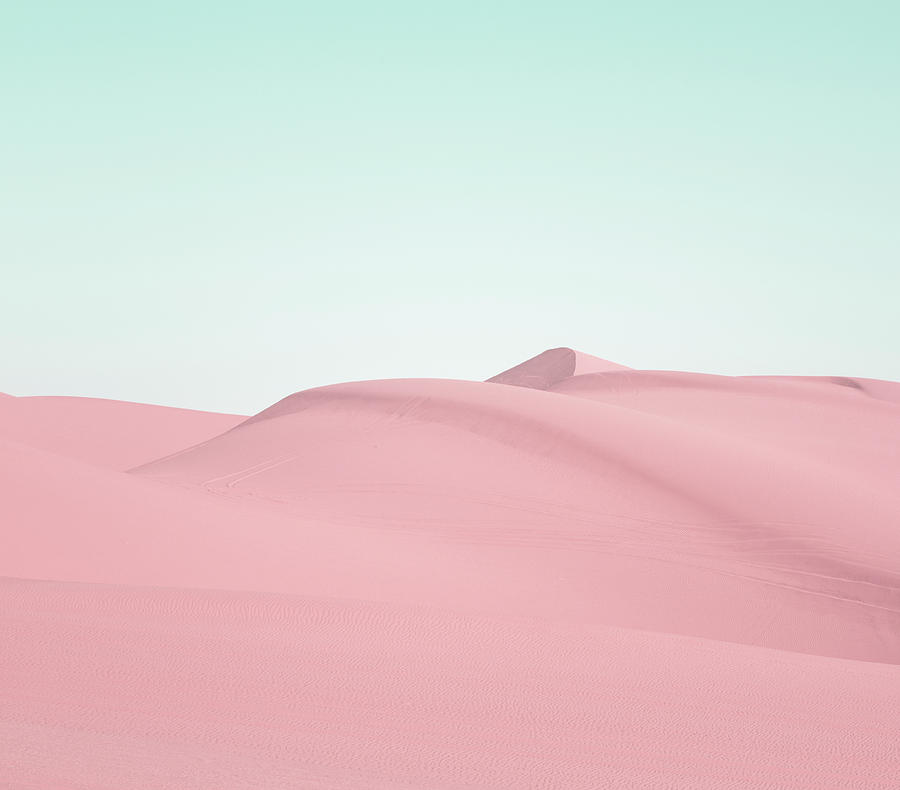 Pink Desert Photograph