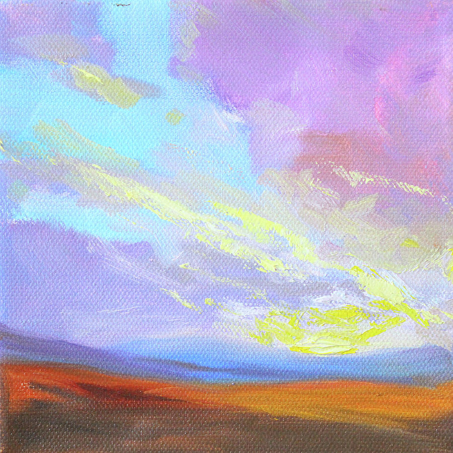 Pink Desert Sky Painting by Nancy Merkle