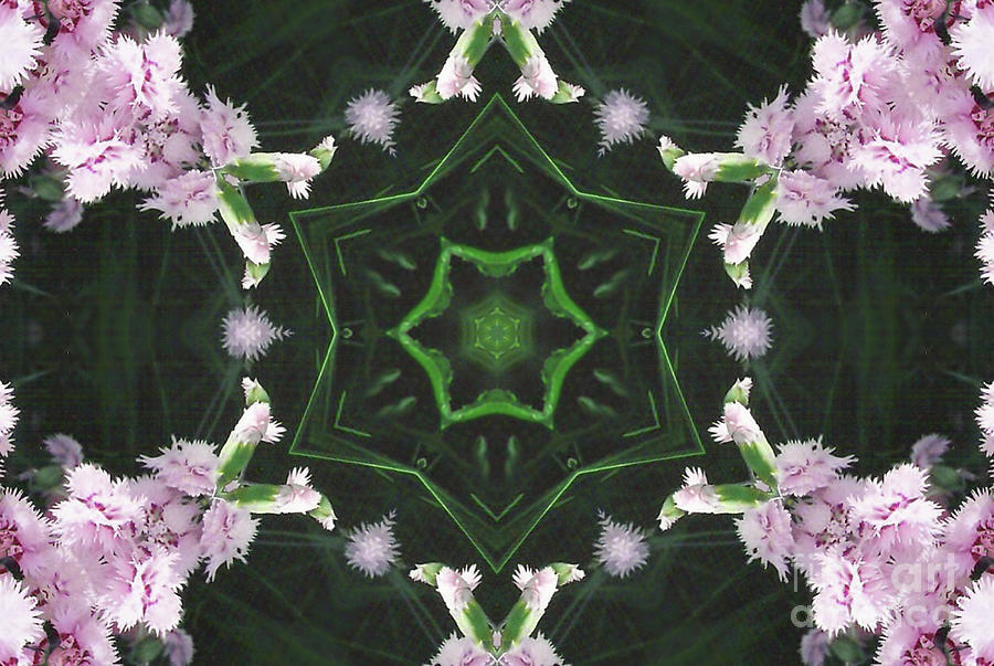Pink Dianthus Kaleidoscope-1 Digital Art by Charles Robinson