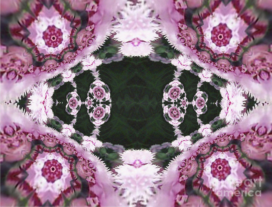 Pink Dianthus Kaleidoscope-Mirrored Digital Art by Charles Robinson