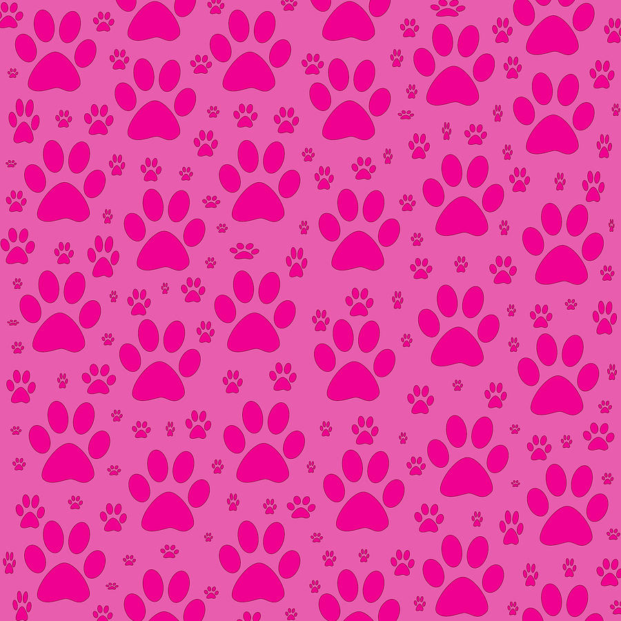 Dog Photograph - Pink Dog Paw Prints by Iris Richardson