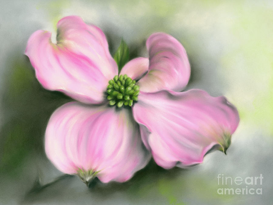 Pink Dogwood in Spring Painting by MM Anderson